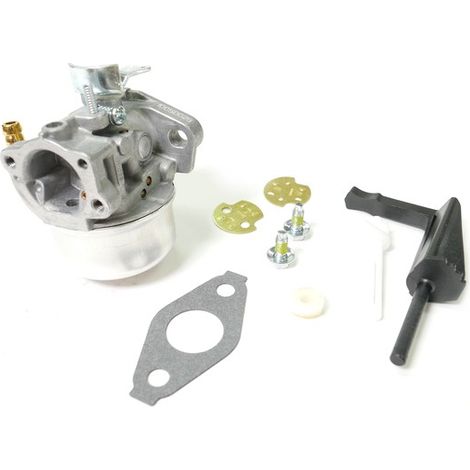 Carburateur moteur Briggs et Stratton 190cc (1/5)