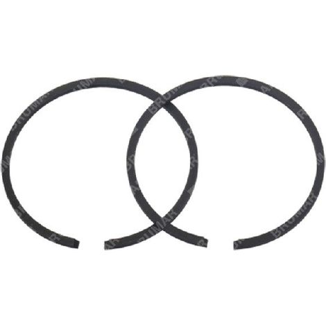 Kit Segmenti PROGREEN diametro 39.5 mm - 054024