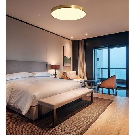 Runde goldene LED-Deckenleuchte, Innenpanel, moderne dimmbare Schlafzimmer-Deckenleuchte mit Fernbedienung, ultradünn für Flur, Wohnzimmer, Balkon, Badezimmer, Ankleidezimmerbeleuchtung, Ø30cm + 18W [ (1/4)