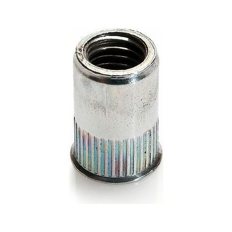 Ecrou Noyé Acier Tête Réduite, cranté - Longueur: 14 - diametrefiletage: M6 - Diamètre: 6