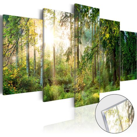 Tableau sur Verre Acrylique "Green Sanctuary" 50 x 100 cm (1/2)