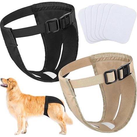 Couches pour Chien Culottes pour Chien Menstruelles Hygiénique Femelle de Protection Ajustable avec Serviettes Hygiéniques(XL) (1/5)