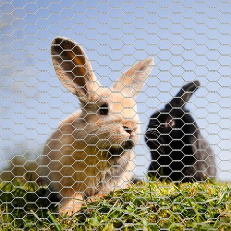Wiltec Grillage de volière Acier Galvanisé – Mailles 50 mm Hexagonal Hauteur 0,5 m Longueur 25 m Fil Ø 1 mm – Lapin Grillage à poule Grillage animaux Terrasse Jardin Clôture Enclos (1/5)