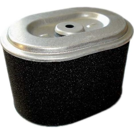 Filtre à air pour moteur Loncin G240F(D), G270F(D) - LC1801000380001