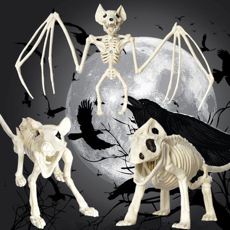 1 pièce horrible Halloween chauve-souris squelette de simulation de chauve-souris réaliste accessoires d Halloween squelette animal pour décoration d Halloween, chauve-souris (1/3)
