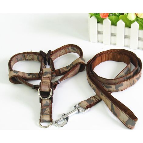 Laisse pour Chien avec Harnais de Poitrine – Accessoire de Promenade pour Petit, Moyen et Grand Chien (Teddy, Golden Retriever) – Modèle Café Largeur 1,5 cm (Idéal 2,5-6 kg)