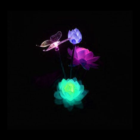 Lampadaire solaire LED lotus coloré avec contrôle lumineux, décor jardin cour papillon (1/5)