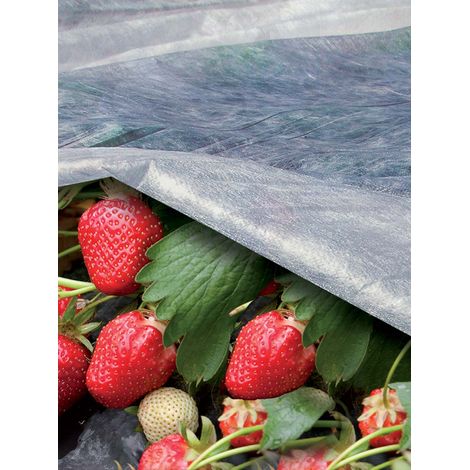 ORTOCLIMA TESSUTO NON TESSUTO PER ORTO E GIARDINO M.1,6X5 17GR/MQ