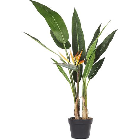Accessorio Decorativo per Interni Pianta Finta in Materiale Sintetico 120 cm Strelitzia Tree (1/5)