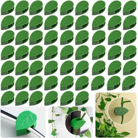 40 Pièces Attache Plante Grimpantes Universelles - Support de Fixation Végétale Réglable pour Vignes/Légumes/Murs/Bureau - Câbles Horticoles Durable Jardin Extérieur/Intérieur (1/5)