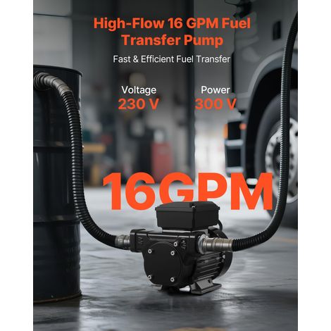 Pompe Transfert Carburant 230 V CA Pompe Transfert Diesel Électrique 60 L/min, Hauteur d'Aspiration Max 2,4 m, Hauteur de Refouleme… (1/5)