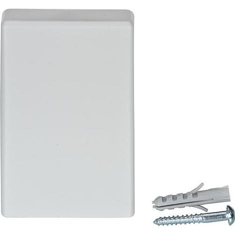 sonde extérieure Remeha 804398