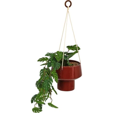Planta colgante Homy H. 80 cm - Atmosphera créateur d'intérieur (1/5)