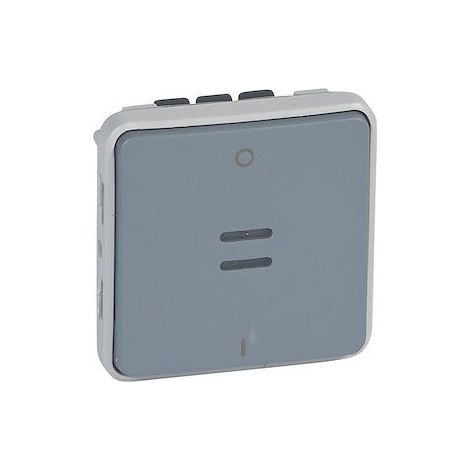 Legrand 069531 Interruttore bipolare luminoso stagno Plexo componibile IP55 10AX 250V - grigio