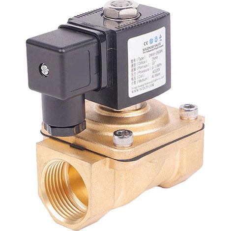 Électrovannes efficaces 220 V, vannes électromagnétiques à deux voies pour l'eau, installation simple, adaptées à l'eau et à l'air.
