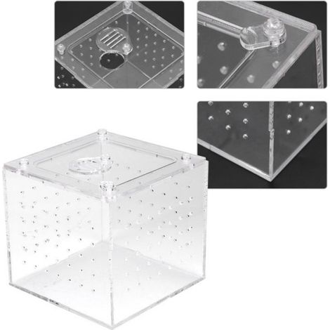 Shipenophy Boîte d’élevage de reptiles Mangeoire pour Terrarium de reptiles, 1 pièce, boîte en acrylique pour jardin outils (1/5)
