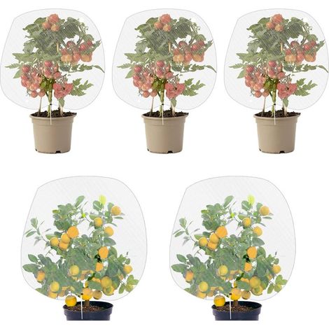 Lot de 5 filets anti-insectes avec cordon de serrage - Filet de protection contre les insectes et les légumes - Filet de protection contre les insectes et les oiseaux - 80 x 80 cm (1/5)
