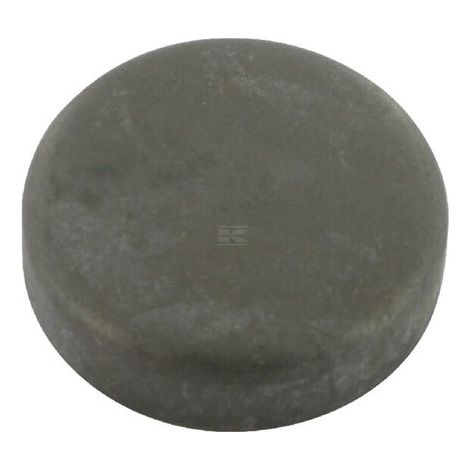 Kappe ZF ZF 0630100221