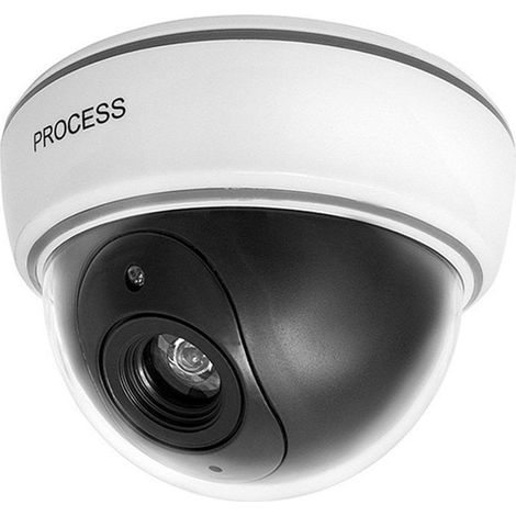 Caméra factice dôme led ir grand