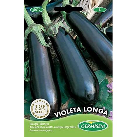 graines Aubergine longue Violette VIOLETA LONGA (1/2)