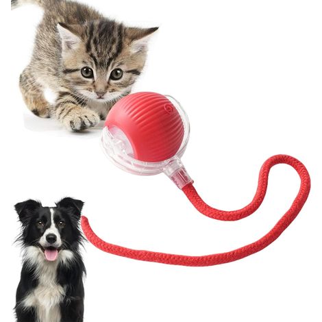 Giocattolo interattivo per gatti: palla elettrica automatica ricaricabile, movimento irregolare, stimola l'istinto di caccia, per gatti adulti che vivono in casa, compatibile con pavimenti e tappeti. (1/5)
