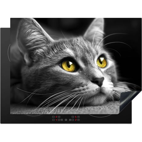 Induction Hob Protector Cat - Gray - Animals - Cat 70x52 cm