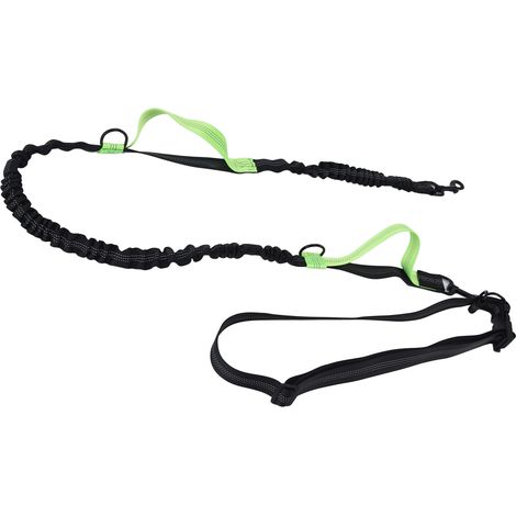 Laisse réfléchissante rétractable, portable et réglable pour chiens, verte (1/5)