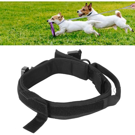Nylon-Hundehalsband, Trainings- und Jagdhalsband mit Stahlschnalle, Haustierzubehör, schwarz (1/5)