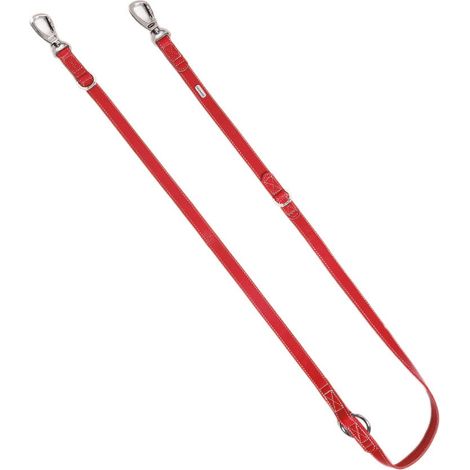 R - 2 x 200 cm guizaglio: (1/3)