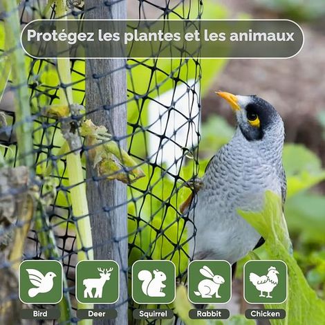 Filet de Protection Contre Les Oiseaux - 4 m x 12 m - Maille Fine (15 x 15 mm) - Résistant aux Intempéries et aux UV - Filet de Cerisier (1/2)