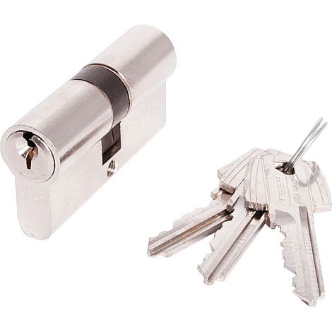 Cylindre double de sûreté TE-5 varié 40 x 55 finition laiton nickelé 3 clés - Tesa securité (1/2)