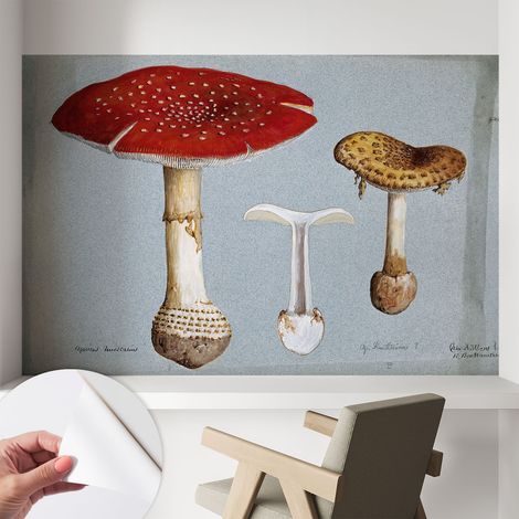 Papier peint autocollant décoratif à motifs pour salon chambre et bureau Tapete adhésif pour décoration Gravures de champignons 104x70 cm (1/5)