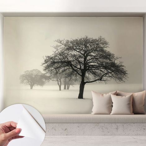 Fotomurale adesivo stickers - murali decorativo - soggiorno moderno - effetto realistico - Alberi invernali 208x146 cm (1/5)