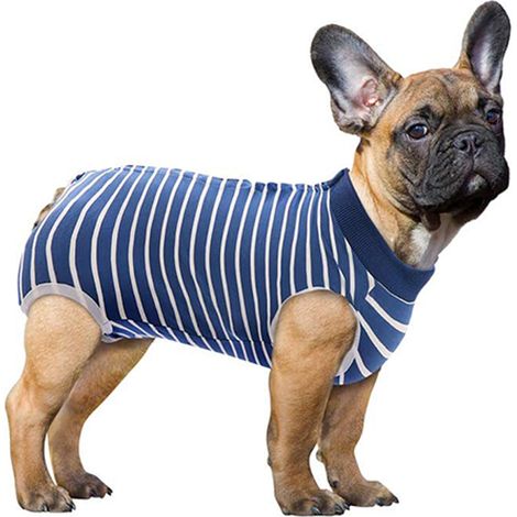 1 Combinaison de récupération, boutons-pression, modal respirant, anti-léchage, pour chiens et chats