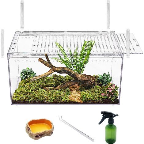 Reptilien-Terrarium 40x25x20cm Magnetverschluss Stapelbarer Schlangenkäfig für Insekten (1/5)