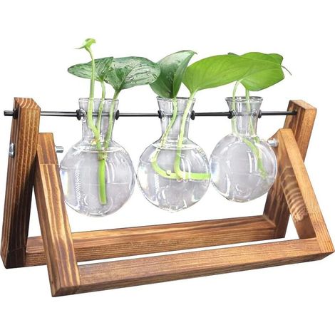 Station de propagation de bureau, terrarium pour plantes à bulbes avec support rétro en bois massif et support pivotant en métal