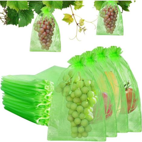 Lot de 100 Pièces Sac Protection Fruits Sachet Protection Raisin, Jardin Plant Fruits Protection Sac, Jardin Protéger Sacs pour Protéger Contre Guêpes Oiseaux et Autres Insectes (Vert) (1/5)