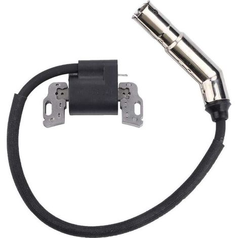 Bobine d'allumage Magneto Armature Remplacement pour Moteur Briggs & Stratton 592841 799650 595304 795315 21A807 21A877 21A902 21A907 21A907 21A907 (1/4)