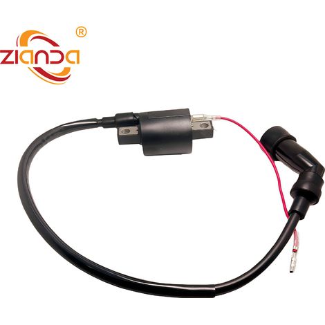 Bobines d'allumage pour motos compatibles avec les modèles 1UY-82310-41-00 YFM250, YFM200DX et YFM350X. (1/5)