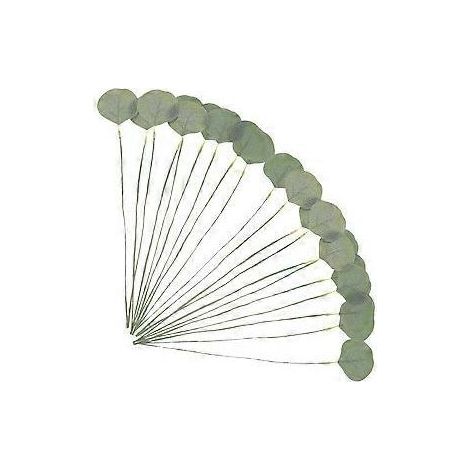 20 tiges de feuilles d'eucalyptus artificielles, tiges d'eucalyptus, fausse verdure pour compositions florales