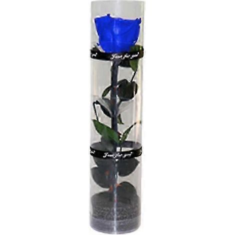 Une véritable rose préservée, rose éternelle, rose durable, rose à floraison éternelle - Bonne (1/5)