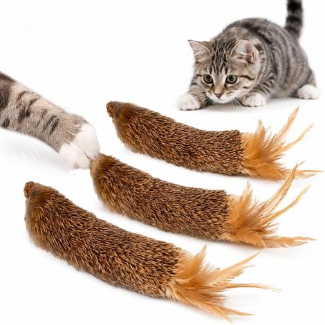 3 PièCes Jouets à Herbe à Chat - Jouet Amusant pour Chatons - Jouet Interactif pour Chat - Convient Aux Chats D'IntéRieur Et Aux Chatons, Texture Moelleuse à MâCher (1/5)