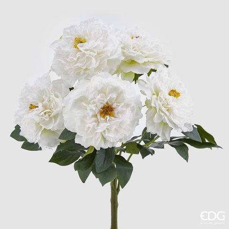 MAZZO PEONIA H.55 AVORIO