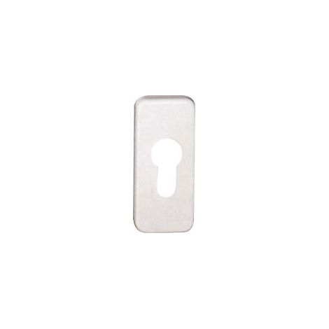 Rosace clé F1 PZ Nr.5804110 (Par 10)