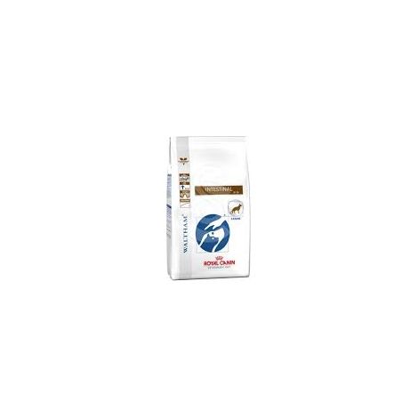 ROYAL CANIN Gastro Intestinal - croquettes pour chiens - 2 kg (1/3)