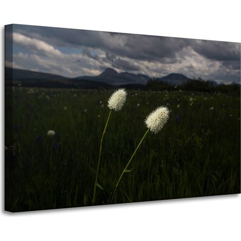 Stampa su tela Natura Fiori selvatici 90x60 cm