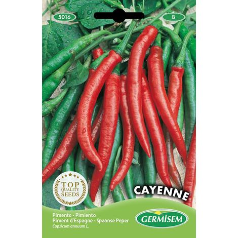 graines Piment d'Espagne CAYENNE
