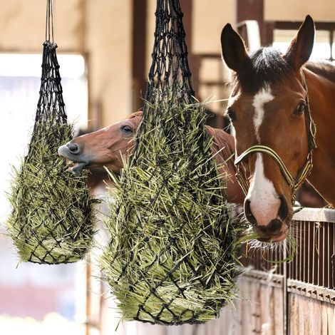 1 Filet à foin pour chevaux de 40inch - Idéal pour l'alimentation adaptée à l'espèce, améliorer la digestion, sac à nourriture pour poneys, chevaux, chèvres, animaux (noir) (1/4)