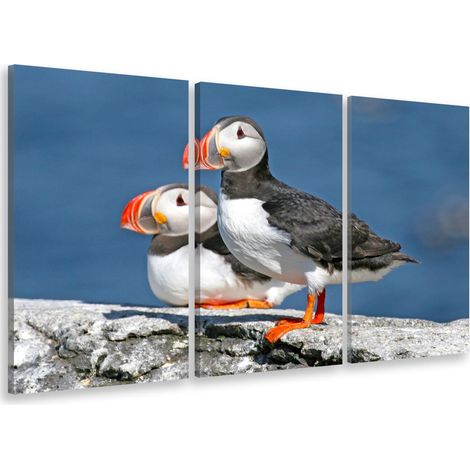 Tableau triptyque Tableau photo macareux sur l'ile aux moines - 90x60 cm Toile imprimée (1/5)