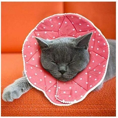 Collare post-operatorio per cani e gatti: comodo, impermeabile e antigraffio, con chiusura regolabile.